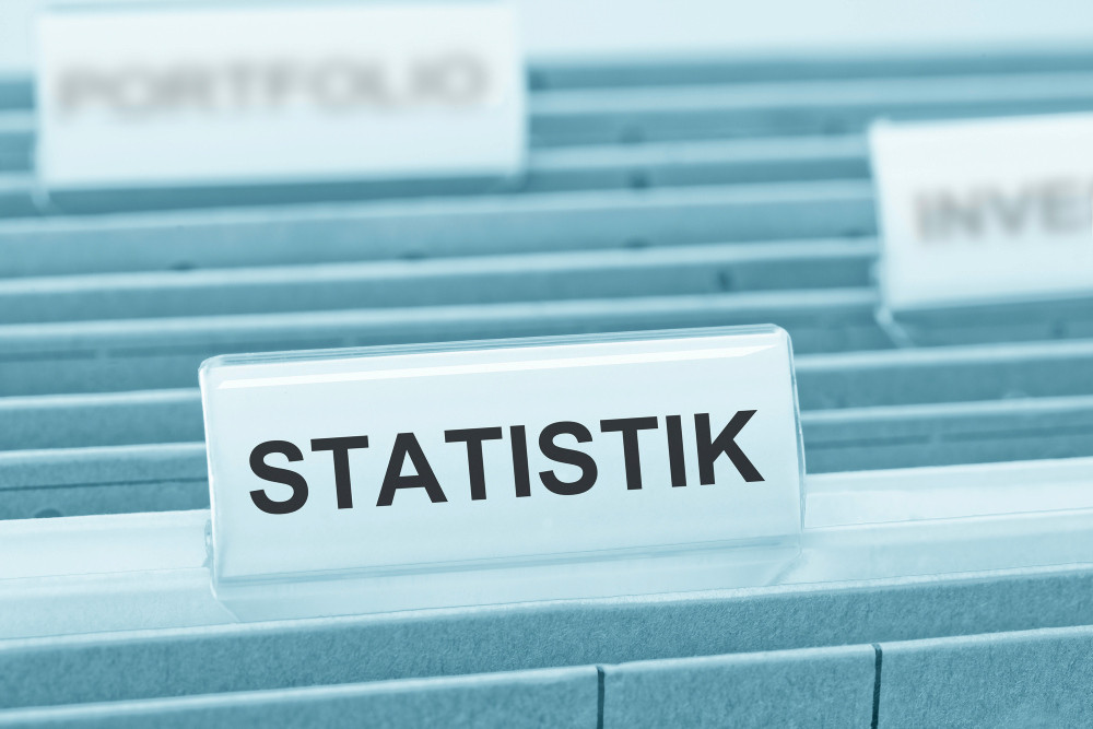 Hängeregistratur mit Reiter "Statistik"