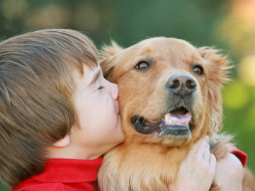 Junge küsst Hund