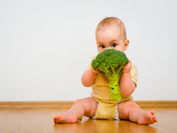Auf dem Boden sitzendes Baby, dass an Broccoli kaut. 